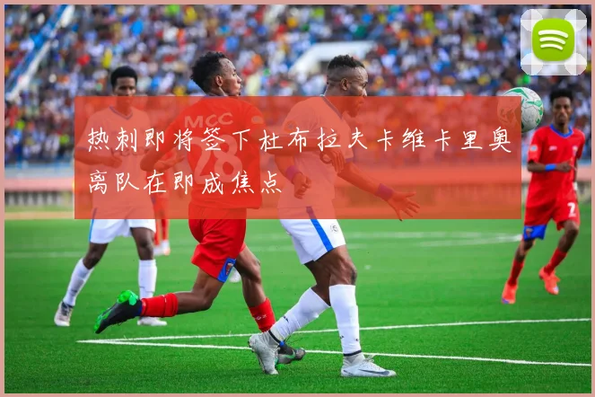 热刺即将签下杜布拉夫卡维卡里奥离队在即成焦点