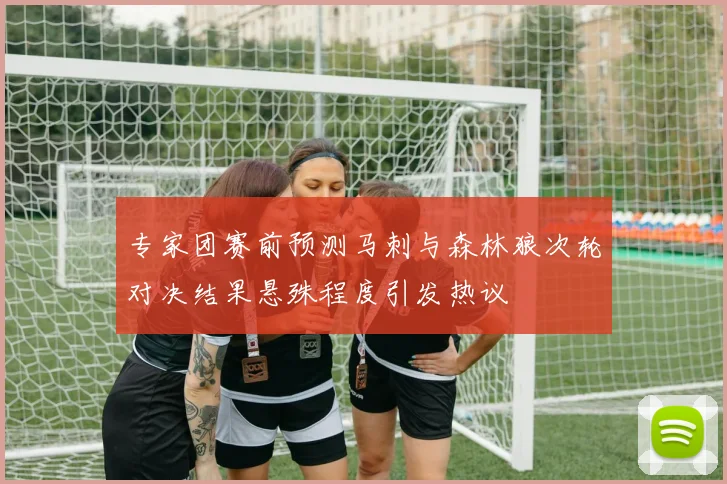 专家团赛前预测马刺与森林狼次轮对决结果悬殊程度引发热议